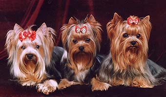 ����������� �������.