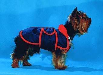 ����������� ������.