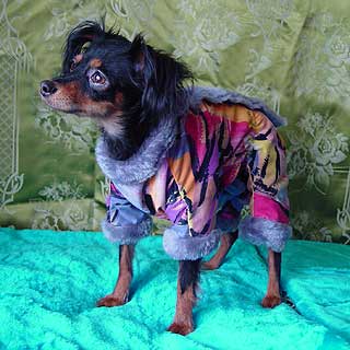 ������� ��� ������.