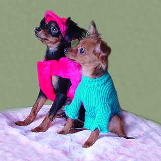 ������� ��� �������.