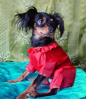 ������� ��� ������.