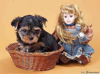 ����������� ������.