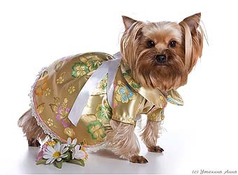 ����������� ������.