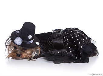 ����������� ������.