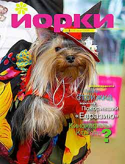 ����������� ������.