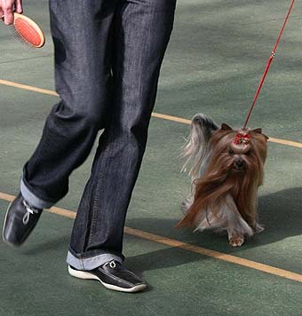 ����������� ������.