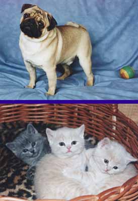 ���� � ������