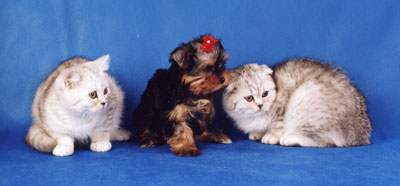 ���������� � ����������� ��������� ������ � ����� ������������ �������.