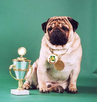 ���� ����� ������� ��������