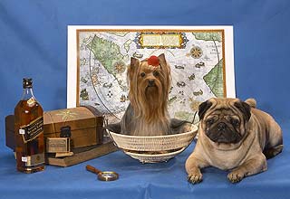 ����������� ������ ���������� ���� ��� ���� ������ � ���� ����� ������� ��������.