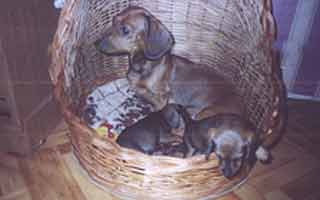 ����� ����� �����������.