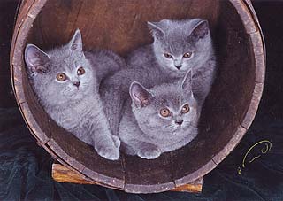 ������ �������� 23 ������ 2002 ����.