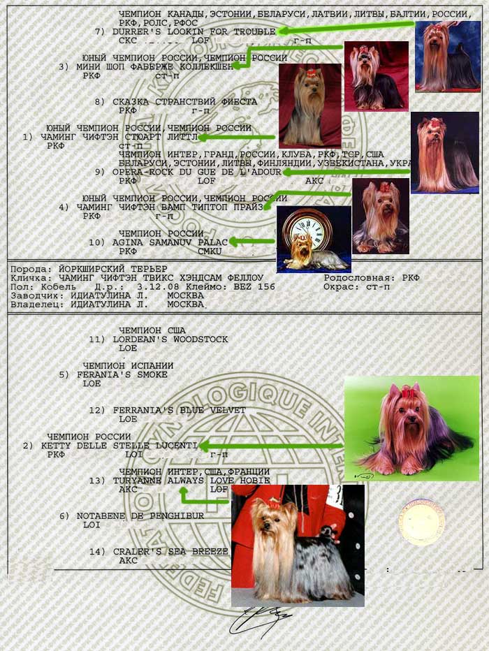 ����������� ������ ������ ������ ����� ������� ������ - �����������.