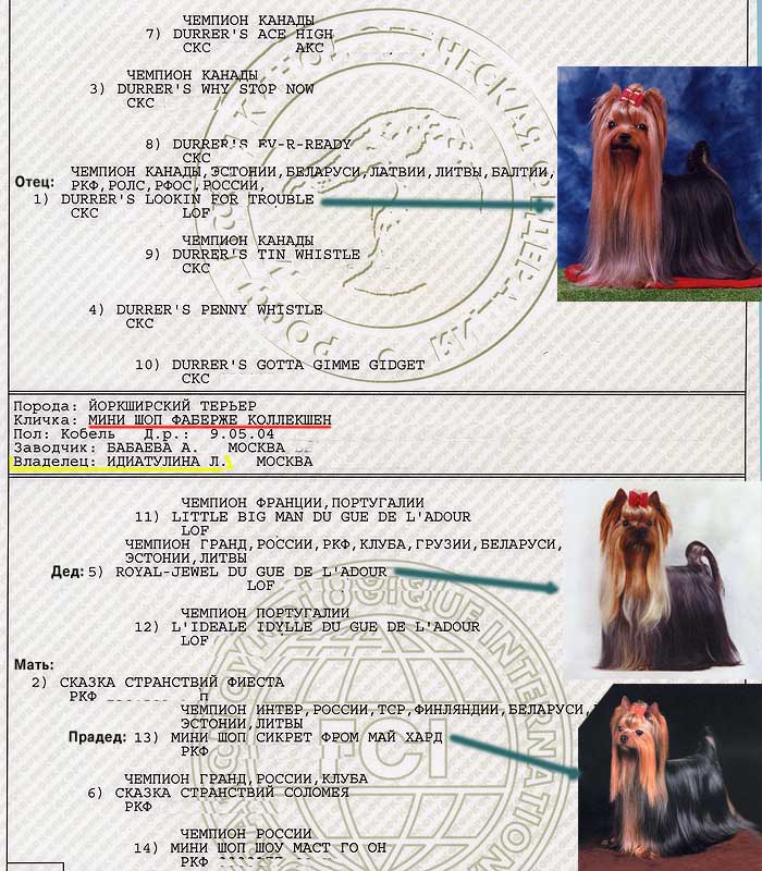 ����������� ������ ���� ��� ������� ��������� - �����������.