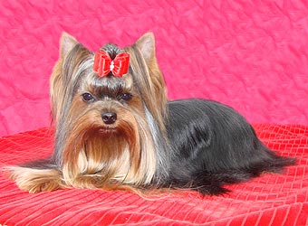 ������ ������ ������ ������ �� �������.