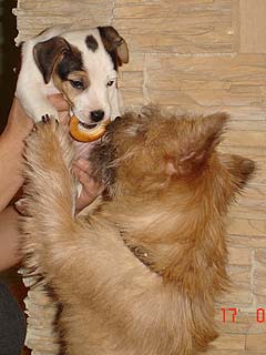 ������ ������ � ���� ������ ������.