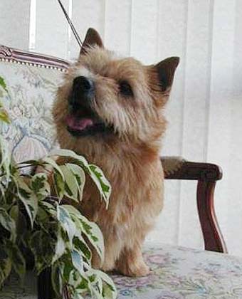 ������ ������.