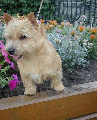 ������ ������.