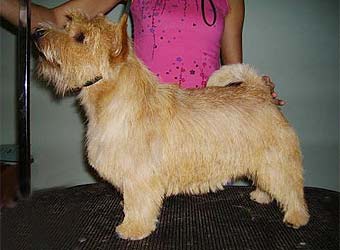 ������ ������.