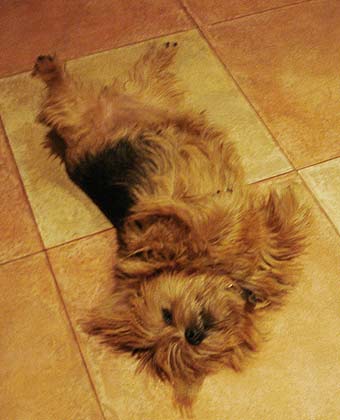 ������ ������.