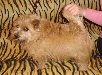 ������ ������.