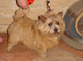 ������ ������.