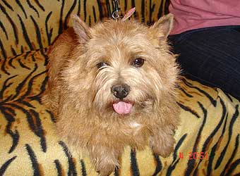 ������ ������.