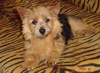 ������ ������.