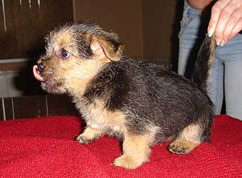 ������ ������.