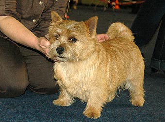 ������ ������.