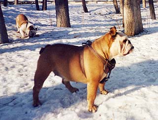 ������� � ������.