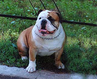 ������ ���� ������.