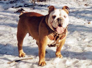 ���������.