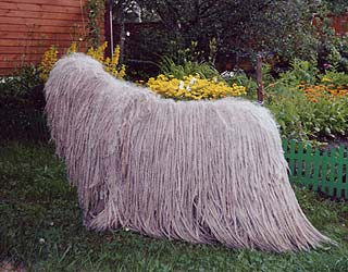 ��������� ���� ���������.