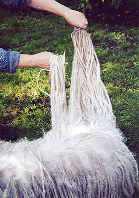 ������ ��������� ������ ���� � ����� ������� ������ (�������).