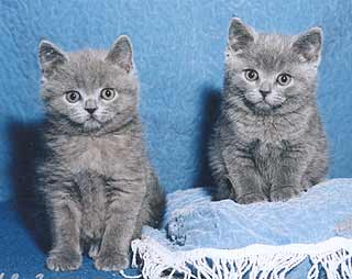 ���������� ������.