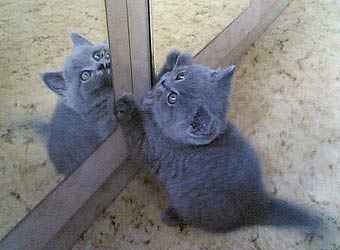 ���������� �������.