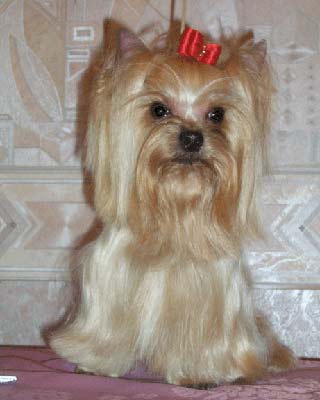 ����������� ������