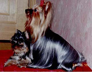 ����������� ������� - ������ ��������� � �� ���� ����� �����