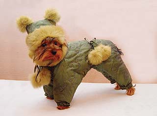 ����������� ������ � ������� �� ����� ����������.