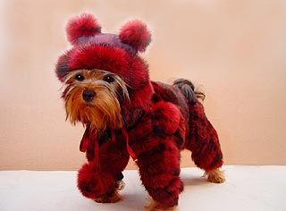 ����������� ������ � ������� �� ����� ����������.