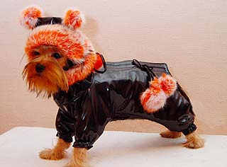 ����������� ������ � ������� �� ����� ����������.