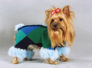 ����������� ������ � ������� �� ����� ����������.