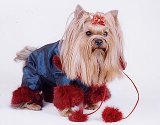 ����������� ������ � ������� �� ����� ����������.