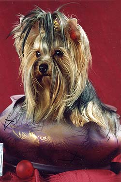 ����������� ������ � ������� �� ����� ����������.