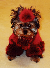 ����������� ������ � ������� �� ����� ����������.