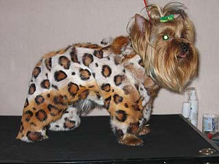 ����������� ������ � ������� �� ����� ����������.