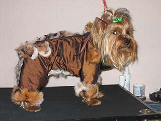 ����������� ������ � ������� �� ����� ����������.