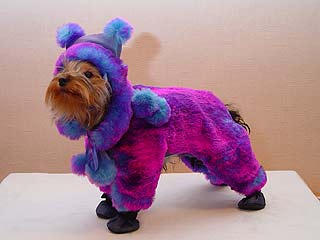 ����������� ������ � ������� �� ����� ����������.