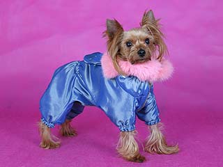 ����������� ������ � ������� �� ����� ����������.